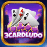3 Card Ludo
